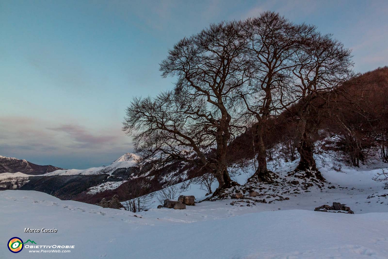 Alba e cavalcata Valdimagnina-5.JPG